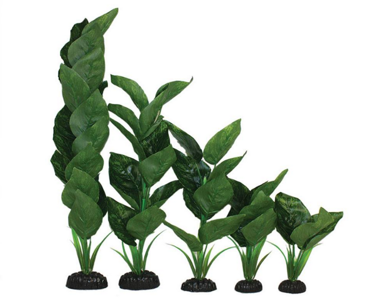 Hugo Kamishi Zen Garden Anubias Silk Plant - Green 20cm